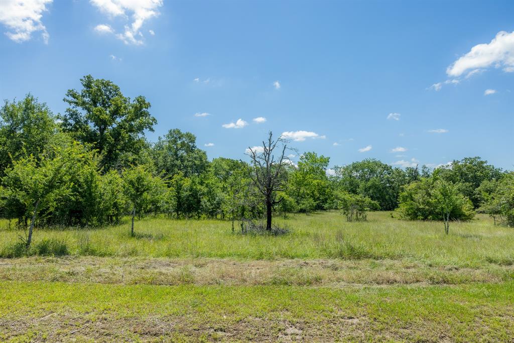 6584 Atakapan Trail Trl, Bedias, Texas image 2