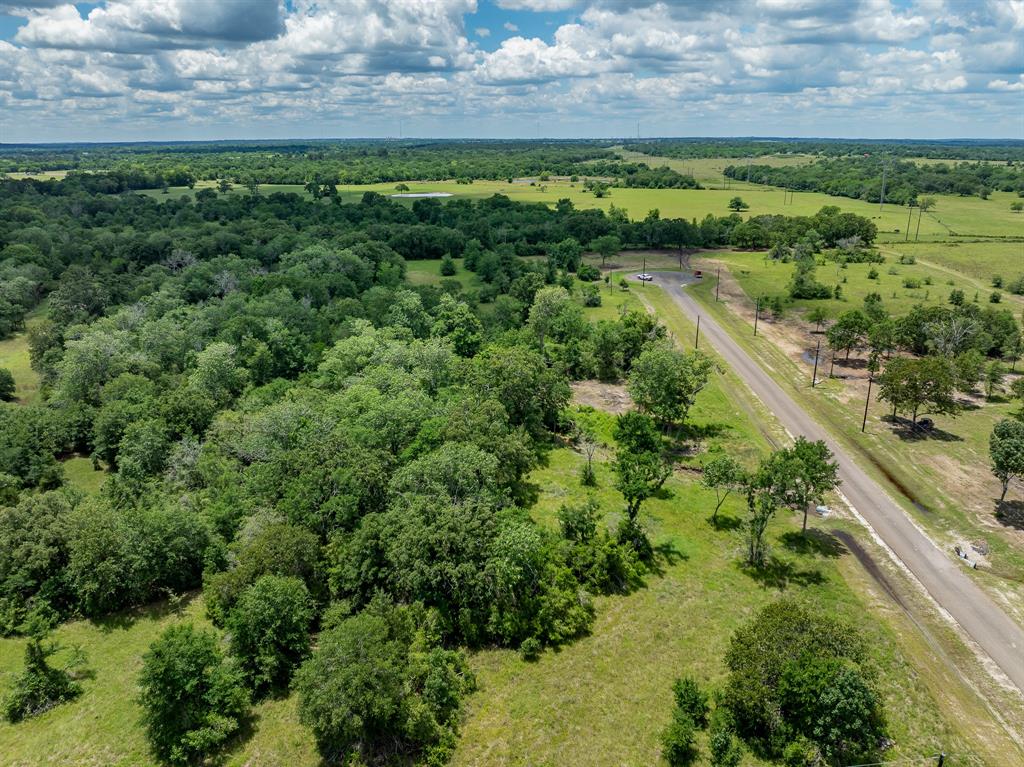 6584 Atakapan Trail Trl, Bedias, Texas image 5