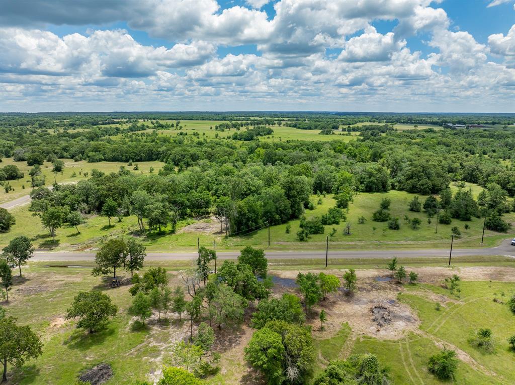 6584 Atakapan Trail Trl, Bedias, Texas image 8