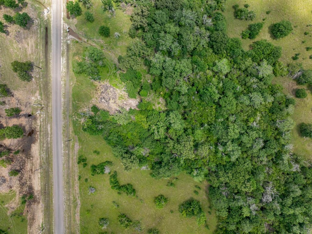 6584 Atakapan Trail Trl, Bedias, Texas image 4