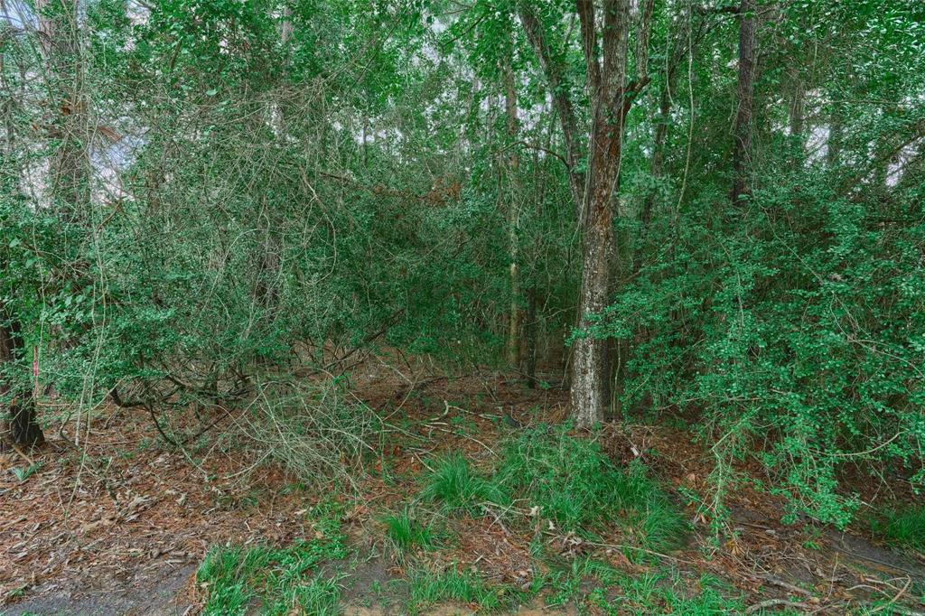 21 Timber Lane