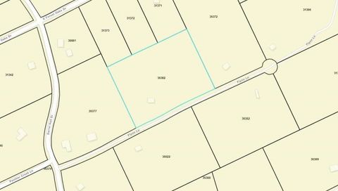 Vacant Land For Sale - 233 Flynn Lane<br/> Trinity, TX 75862