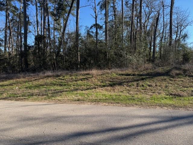 11165 W Lake Dr Dr, Willis, Texas image 5