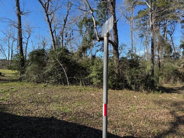 11165 W Lake Dr Dr, Willis, Texas image 3