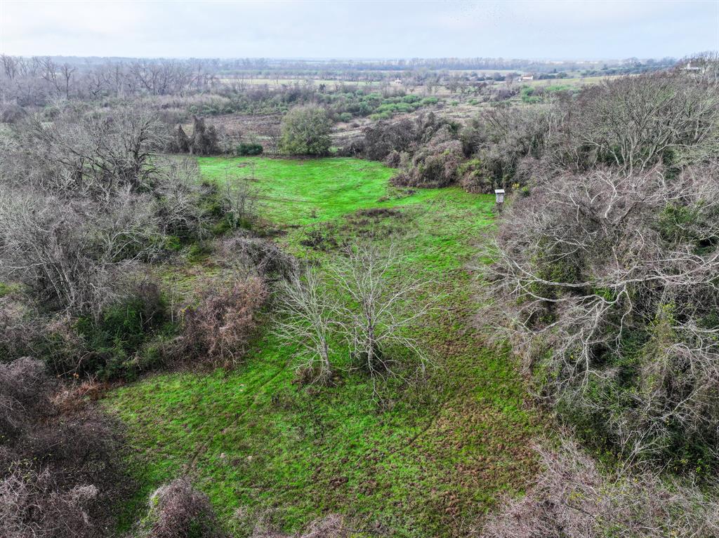 River Rd, College Station, Texas image 14