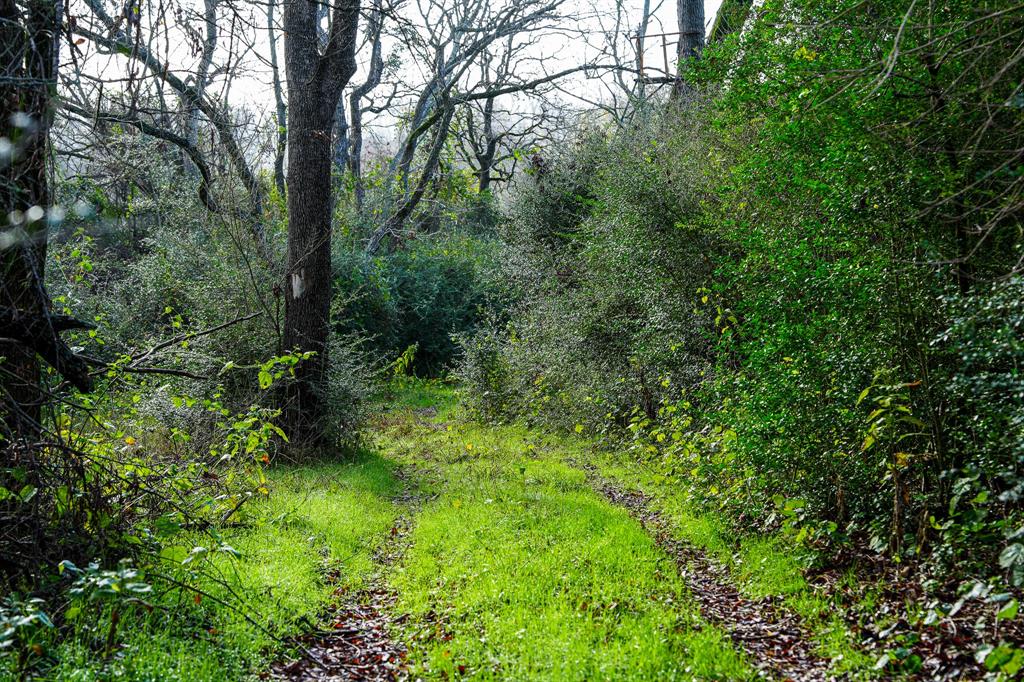 River Rd, College Station, Texas image 2