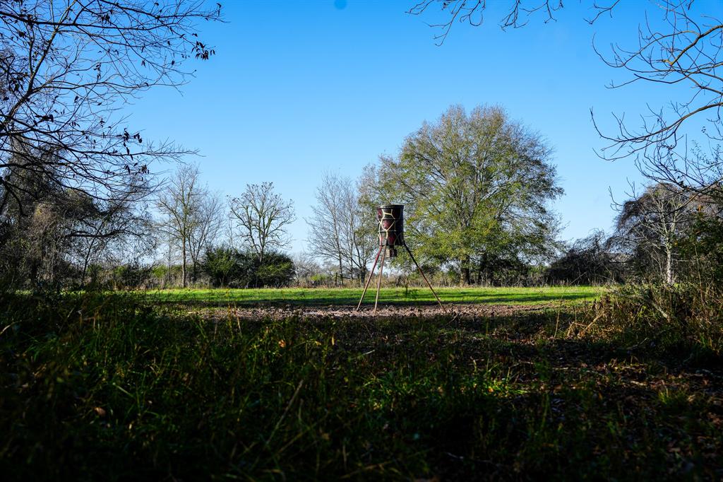 River Rd, College Station, Texas image 6