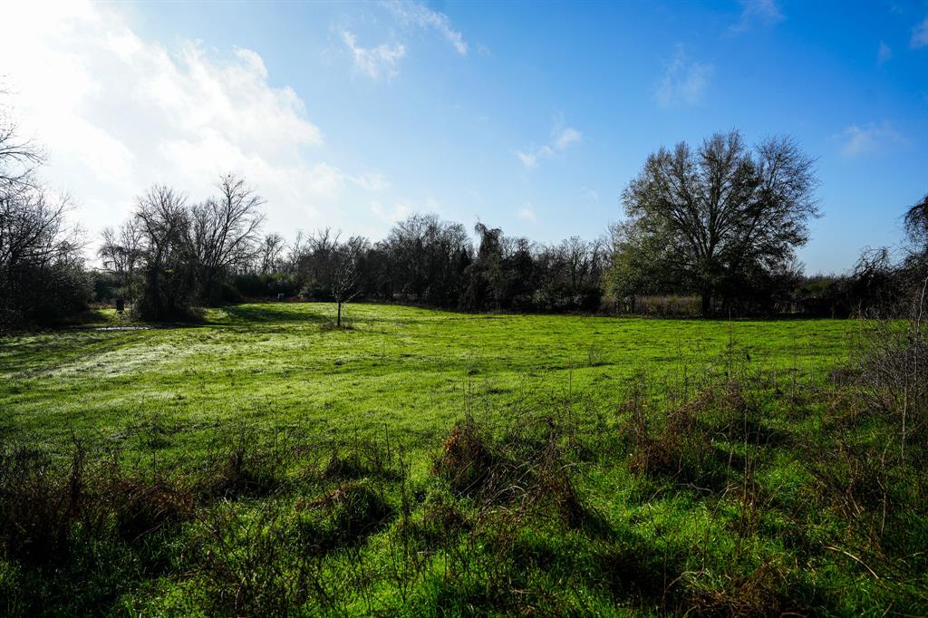 River Rd, College Station, Texas image 5