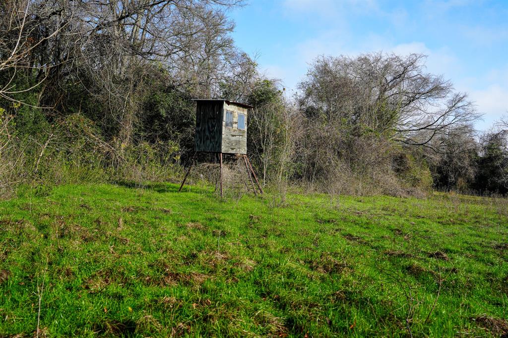 River Rd, College Station, Texas image 4