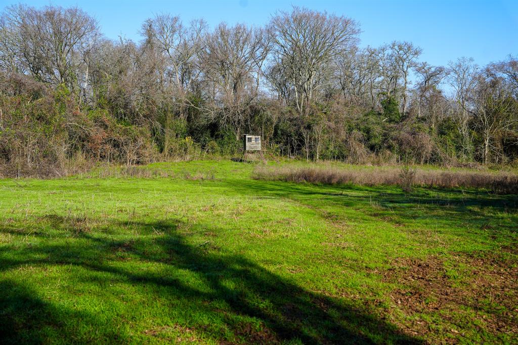 River Rd, College Station, Texas image 7