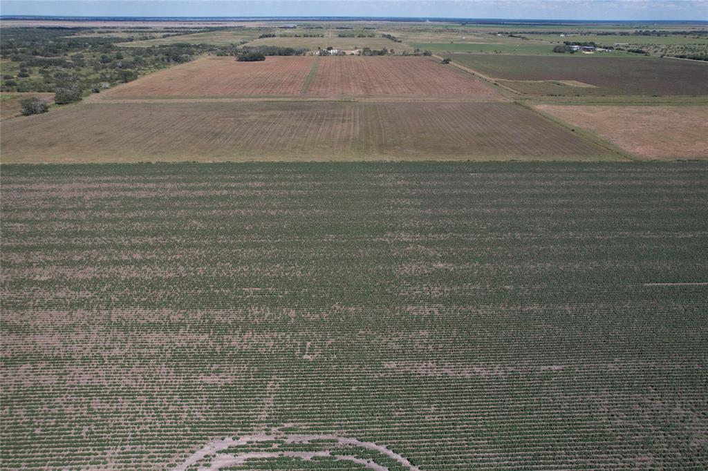 Tract 2 Fm 530, Hallettsville, Texas image 8