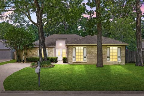 3619 Bear Lake Drive Houston TX 77345