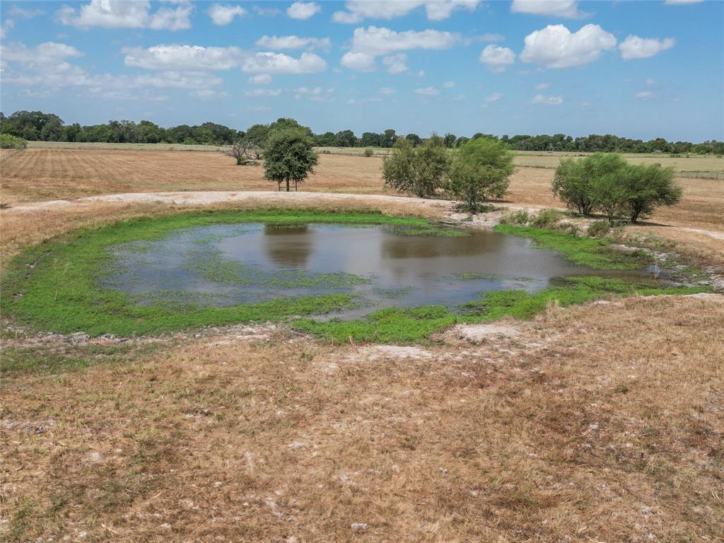 12902 Schmidt Road, Waller, Texas image 16