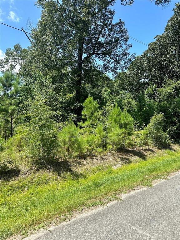 Meyer Road, Huffman, Texas image 3