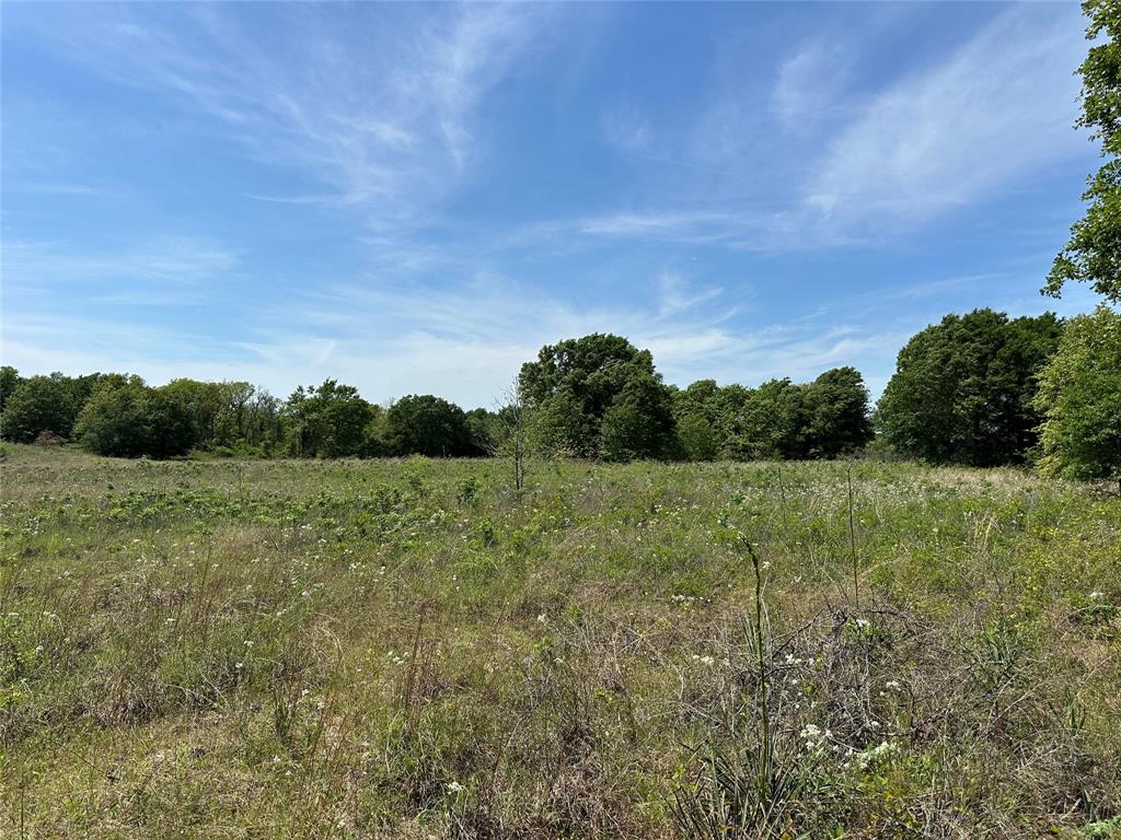 TBD Spur 937, Teague, Texas image 7