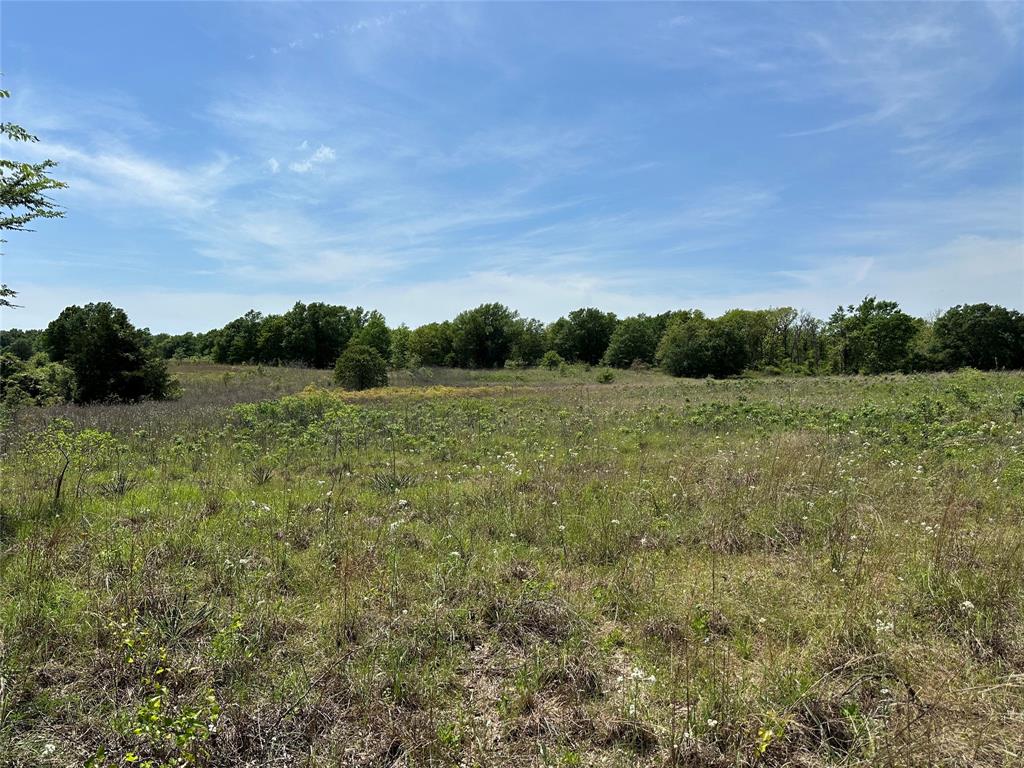 TBD Spur 937, Teague, Texas image 8