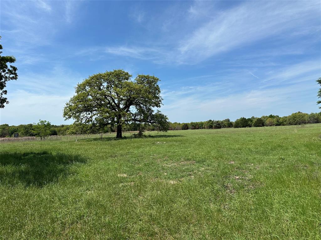 TBD Spur 937, Teague, Texas image 4