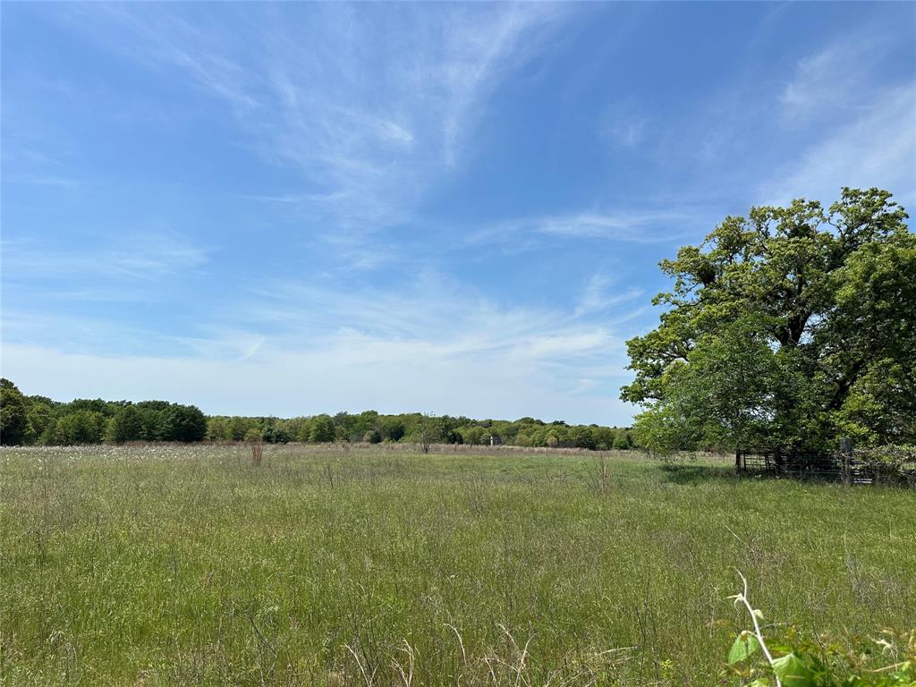 TBD Spur 937, Teague, Texas image 5