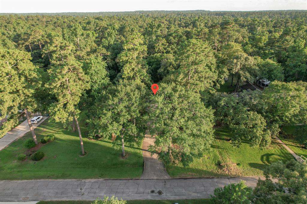 24806 Silver Leaf Street, Magnolia, Texas image 41