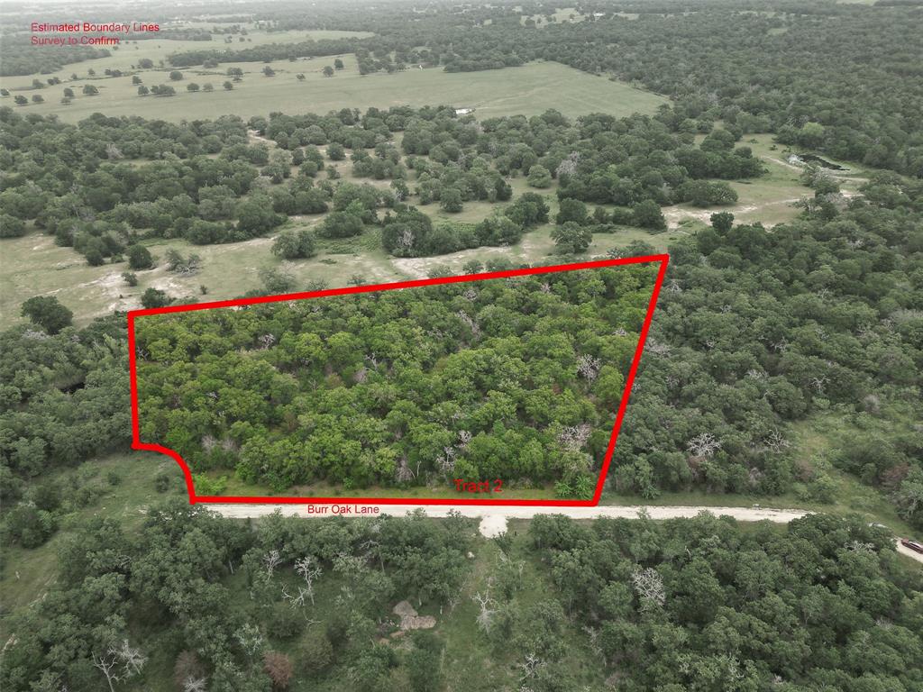 Tract 2 Burr Oak Ln, Snook, Texas image 1