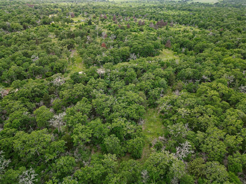 Tract 2 Burr Oak Ln, Snook, Texas image 7