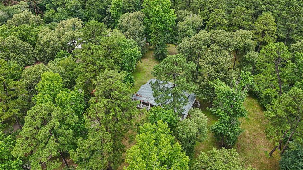 49 Hall Drive, Montgomery, Texas image 25