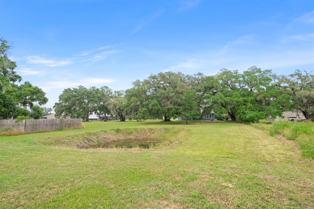 374 Cattle Drive Trail, Angleton, Texas image 44