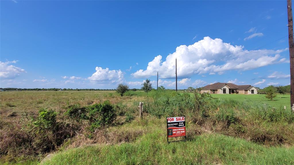 FM 521 And County Road 52, Rosharon, Texas image 8