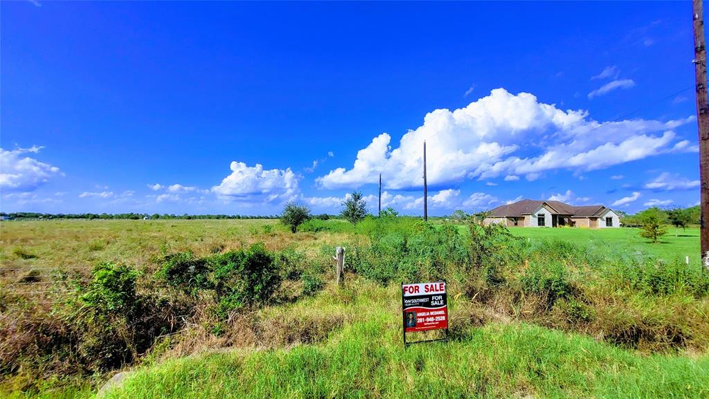 FM 521 And County Road 52, Rosharon, Texas image 9