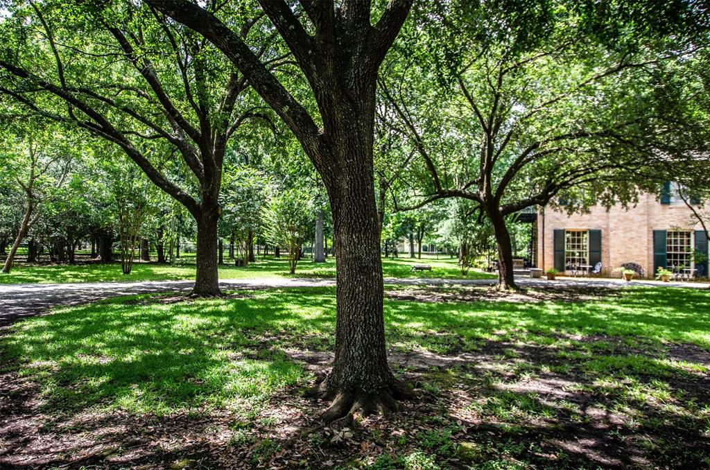 2550 Ashley St Street, Beaumont, Texas image 29