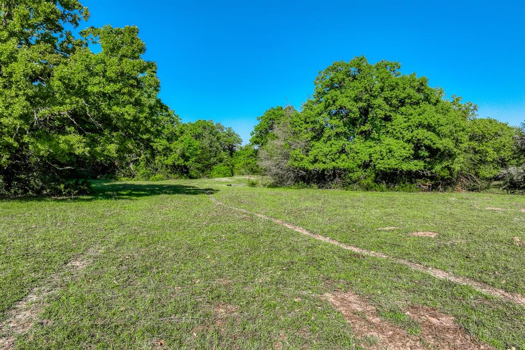 4519 County Road 120, Caldwell, Texas image 3