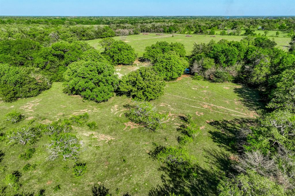 4519 County Road 120, Caldwell, Texas image 6