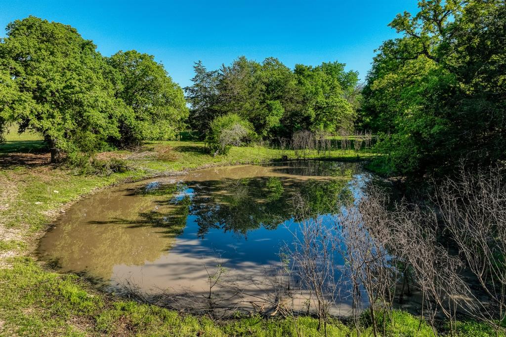 4519 County Road 120, Caldwell, Texas image 13