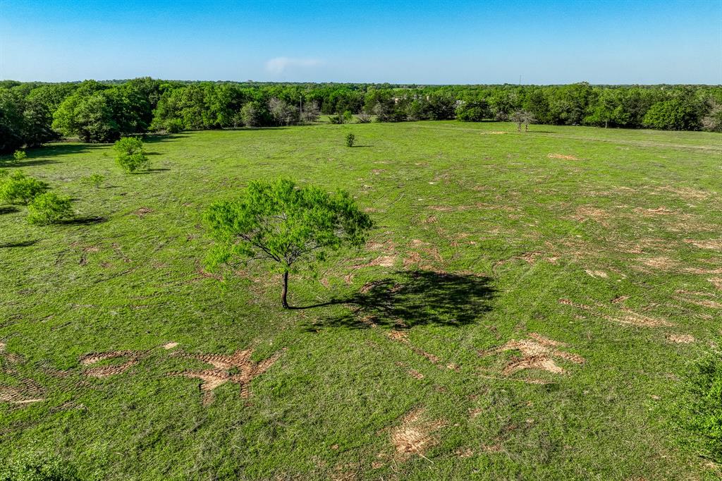 4519 County Road 120, Caldwell, Texas image 15