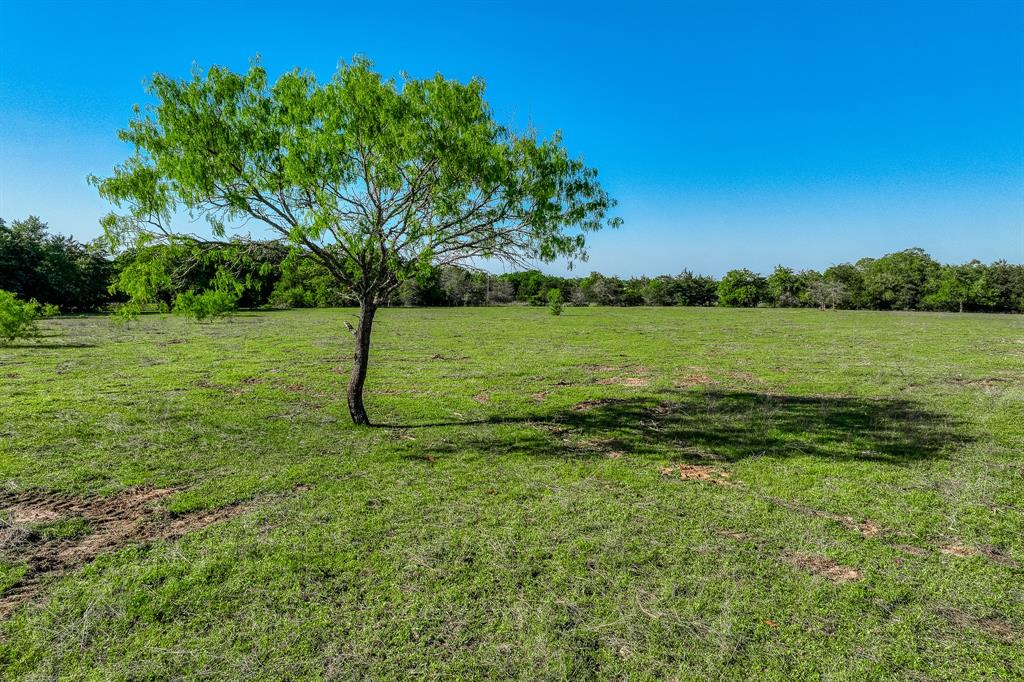 4519 County Road 120, Caldwell, Texas image 7