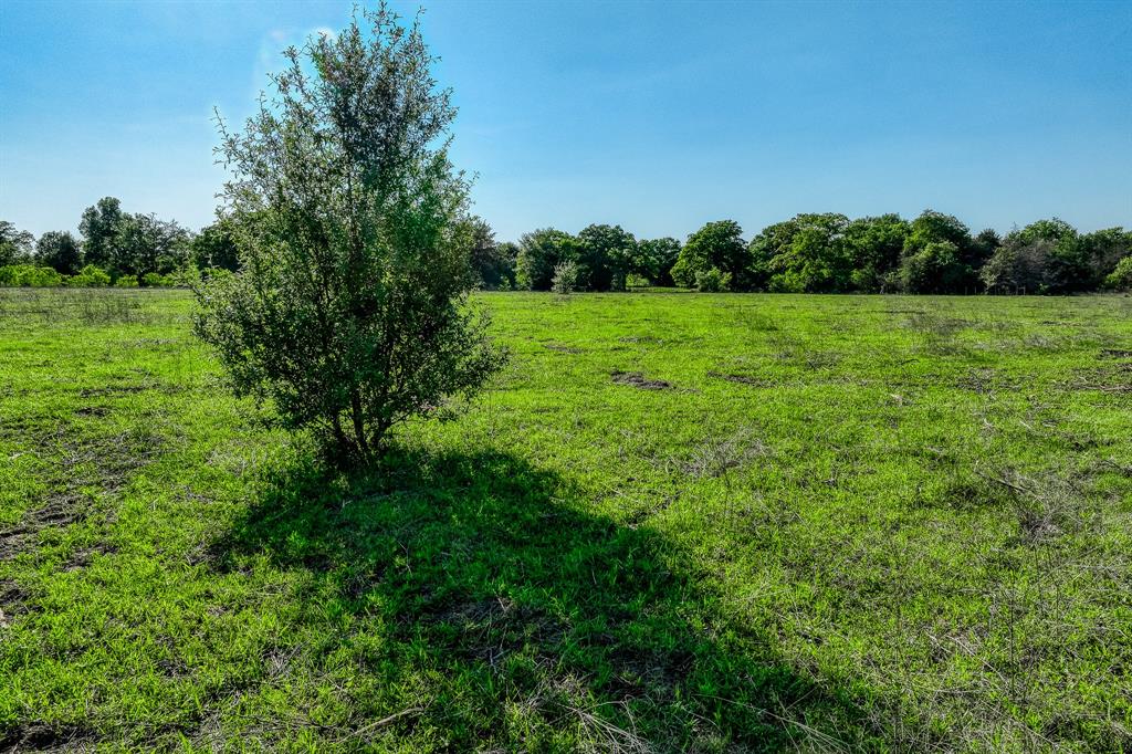 4519 County Road 120, Caldwell, Texas image 21