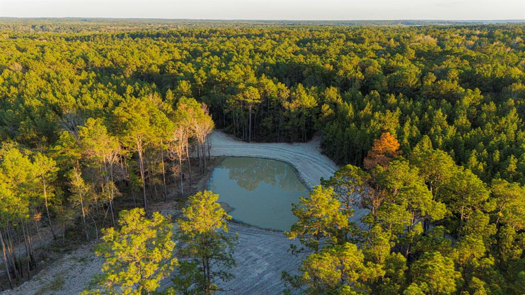 013 Magnolia Ranch Road, Onalaska, Texas image 7