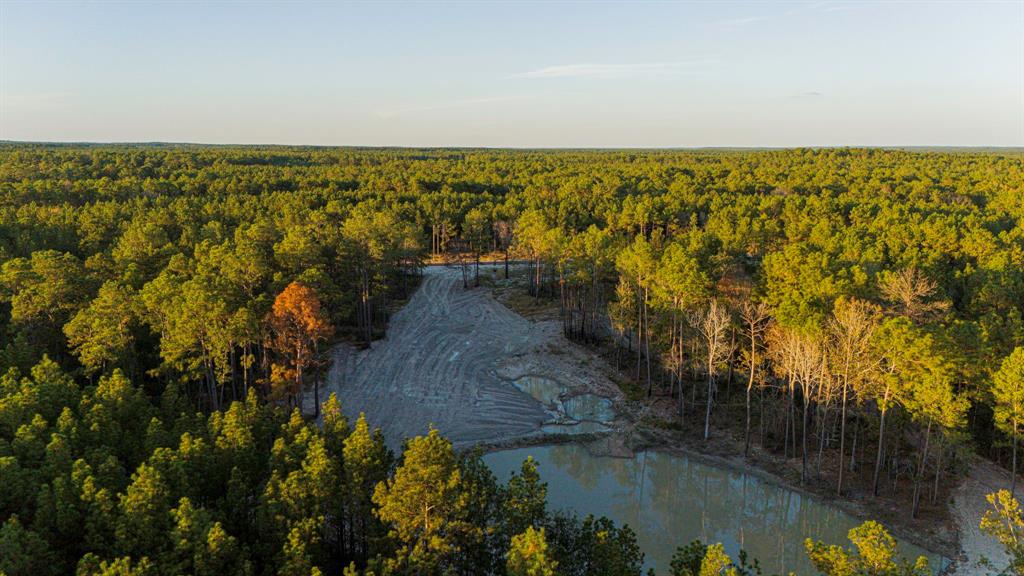 013 Magnolia Ranch Road, Onalaska, Texas image 8