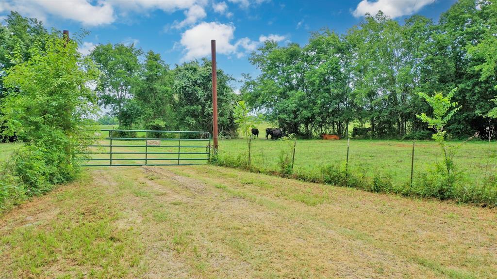 8557 County Road 313, Plantersville, Texas image 46