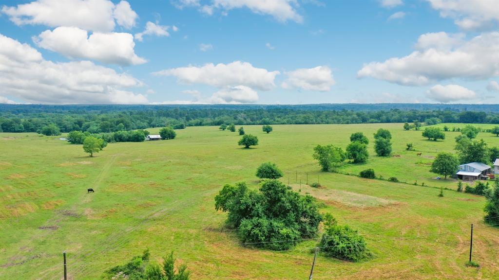 8557 County Road 313, Plantersville, Texas image 29