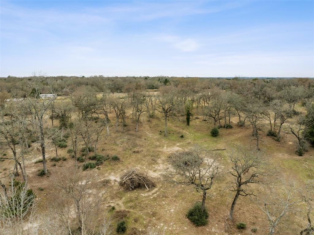 TBD County Road 381, Buffalo, Texas image 31