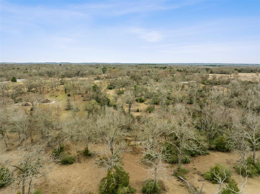 TBD County Road 381, Buffalo, Texas image 29