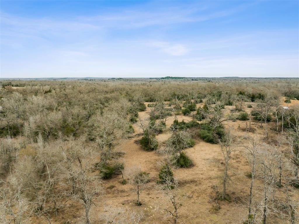 TBD County Road 381, Buffalo, Texas image 23