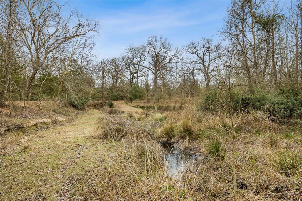 TBD County Road 381, Buffalo, Texas image 8