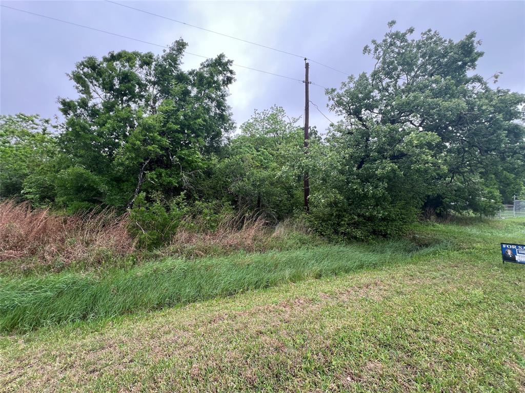 S Shady Glen Drive, Anahuac, Texas image 3