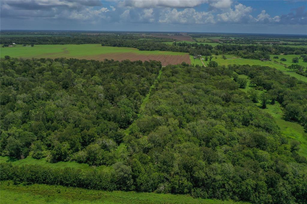 County Road 428, Wharton, Texas image 10