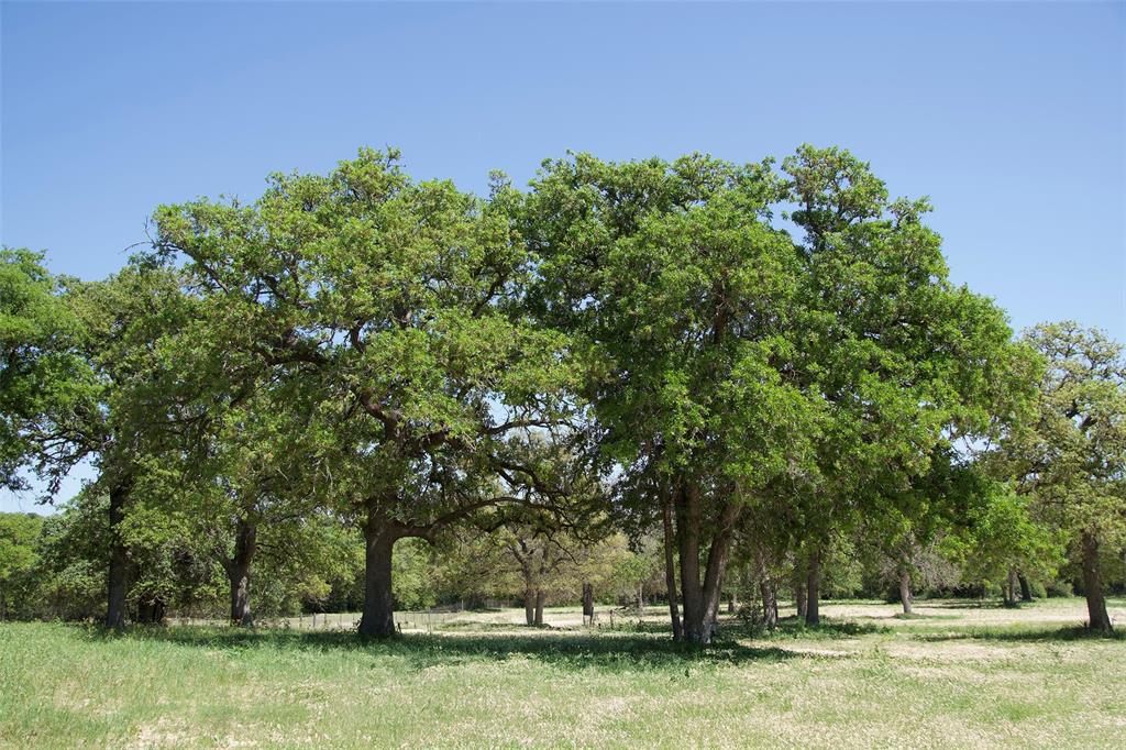 1035 Old Sayers Road, Elgin, Texas image 3