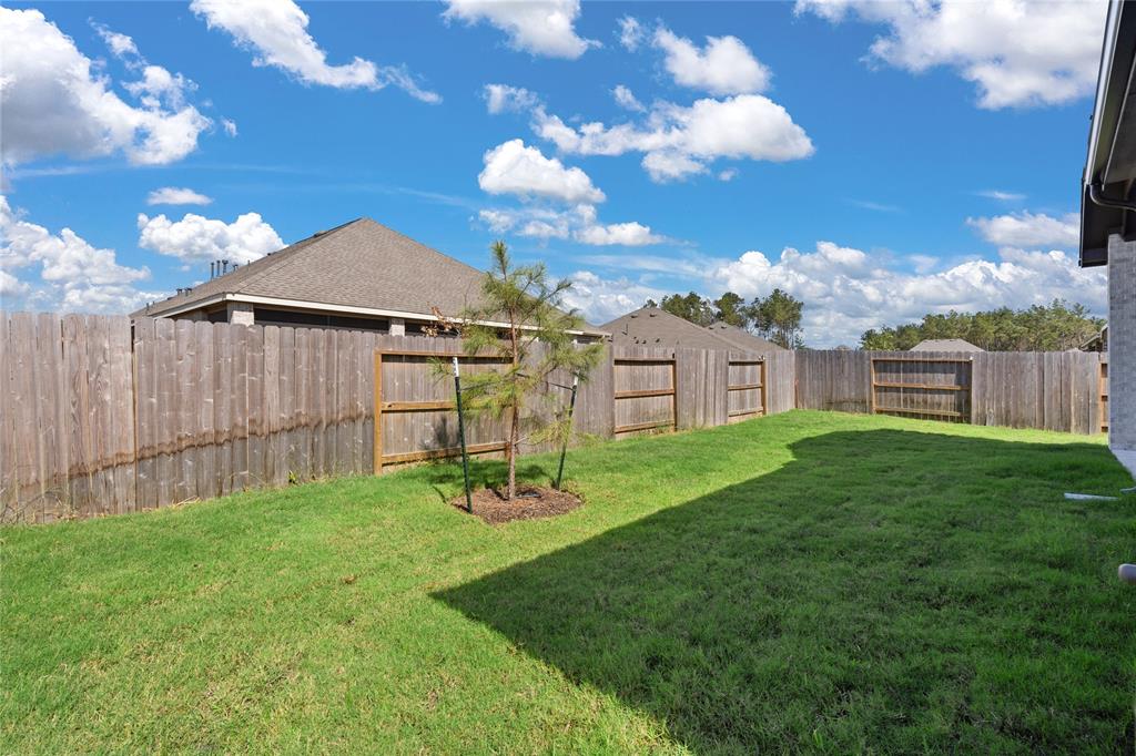 18207 Saffron Sun St, Conroe, Texas image 24