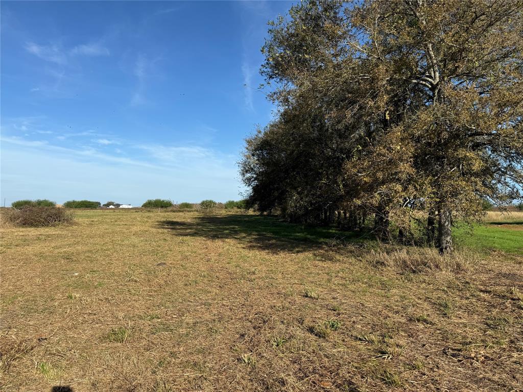 County Road 274, East Bernard, Texas image 6