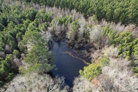 Vacant Land For Sale - TRACT D County Road 4037<br/> Shelby County, Timpson, TX 75975